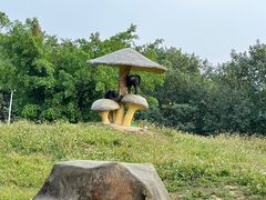 -东莞香市动物园