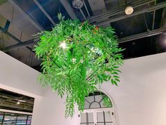 -肥佬大椰子鸡(三里屯3·3大厦店)