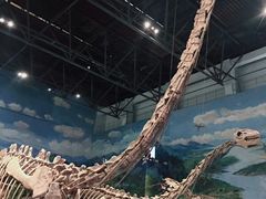 -自贡恐龙博物馆