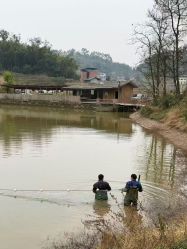 点击看大图 -金芙美月子中心(财富别墅店)