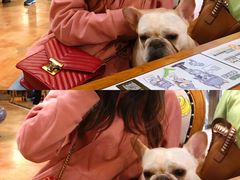 -more than meow吴止猫主题餐厅(承德 中船汇店)