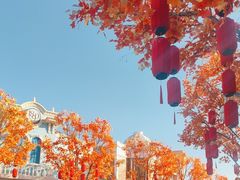 -沈阳方特欢乐世界