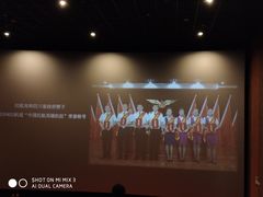 -卢米埃影城(住总万科杜比全景声激光店)