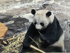 -济南野生动物世界