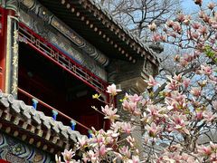 -潭柘寺景区