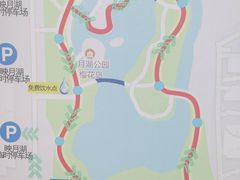 -映月湖公园