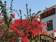 -豆舞咖啡(民乐路店)