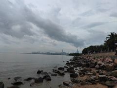 -深圳湾公园(南山区)