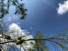 -麦当劳(金平路站店)