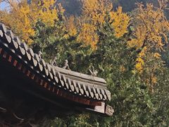 -西安关中民俗艺术博物院
