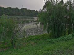 -北运河水利风景区