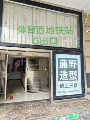 -藤野造型·专业烫染店