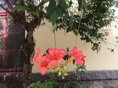 -青岛德国监狱旧址博物馆