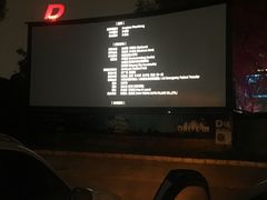 -枫花园汽车电影院(朝阳公园店)
