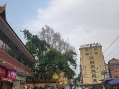 -西双版纳总佛寺