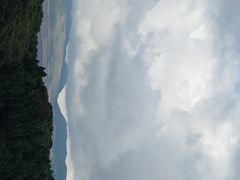 -武陵山森林公园