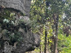 -梭布垭石林景区