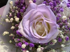 -循礼门鲜花花市(武汉循礼门店)