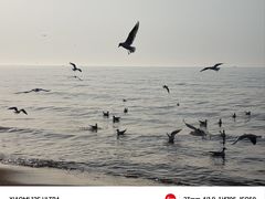 -老虎石海上公园
