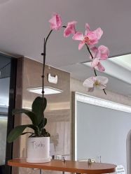 点击看大图 -AGAXI美甲美睫