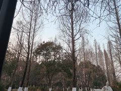 -桃花岛公园