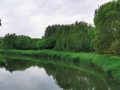 -大兴滨河森林公园