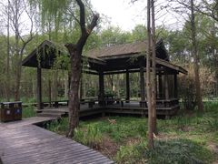 -渤公岛生态公园