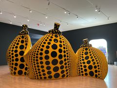 -旧金山现代艺术博物馆