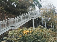 -佛山华盖山公园