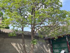 -张学良旧居陈列馆