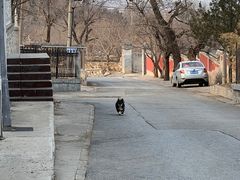 -北京鹫峰国家森林公园