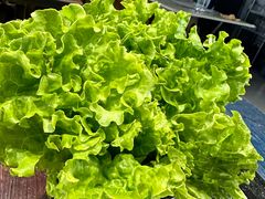 -红岸碳烤齐齐哈尔原味生态烤肉