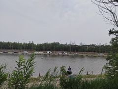 -西青郊野公园
