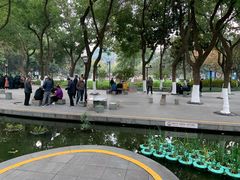 -常州古运河南大街文化旅游区-人民公园