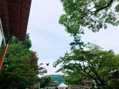 -有栖山 清光院 清水寺