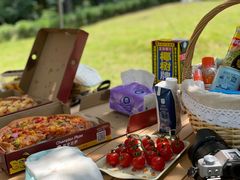 -铁山坪森林公园