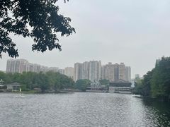 -荔湾湖公园