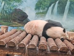 -杭州动物园