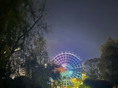 -洋湖国家湿地公园