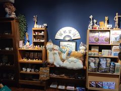 -猫小主咖啡·猫咖cat cafe(福田店)
