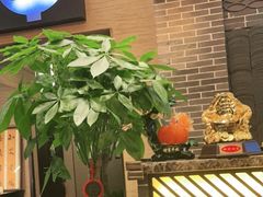 -升艾堂·经络·艾灸·气血(成山路店)