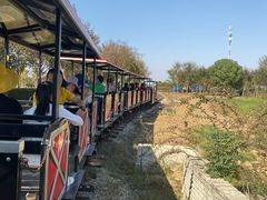 -武汉紫薇都市田园