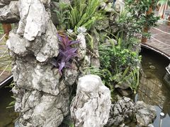 -二荆条·蜀鲜汇城市森林火锅