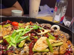 -老板恋上鱼(恒隆广场店)