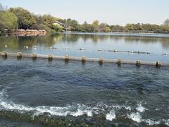 -西湖外事游船(花港观鱼码头)