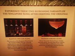 -Long Bar(莱佛士酒店)