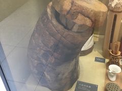 -北京植物园-展览温室