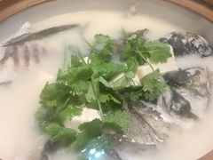 白汤有机鱼头-千岛湖小鱼儿·淳安匠心农家菜