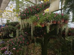 -沈阳植物园