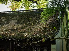 -汇龙潭